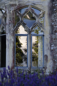 Dining Room Window (Photo by Colin Tracy) 