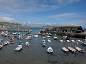 The Harbour at Lyme Regis
