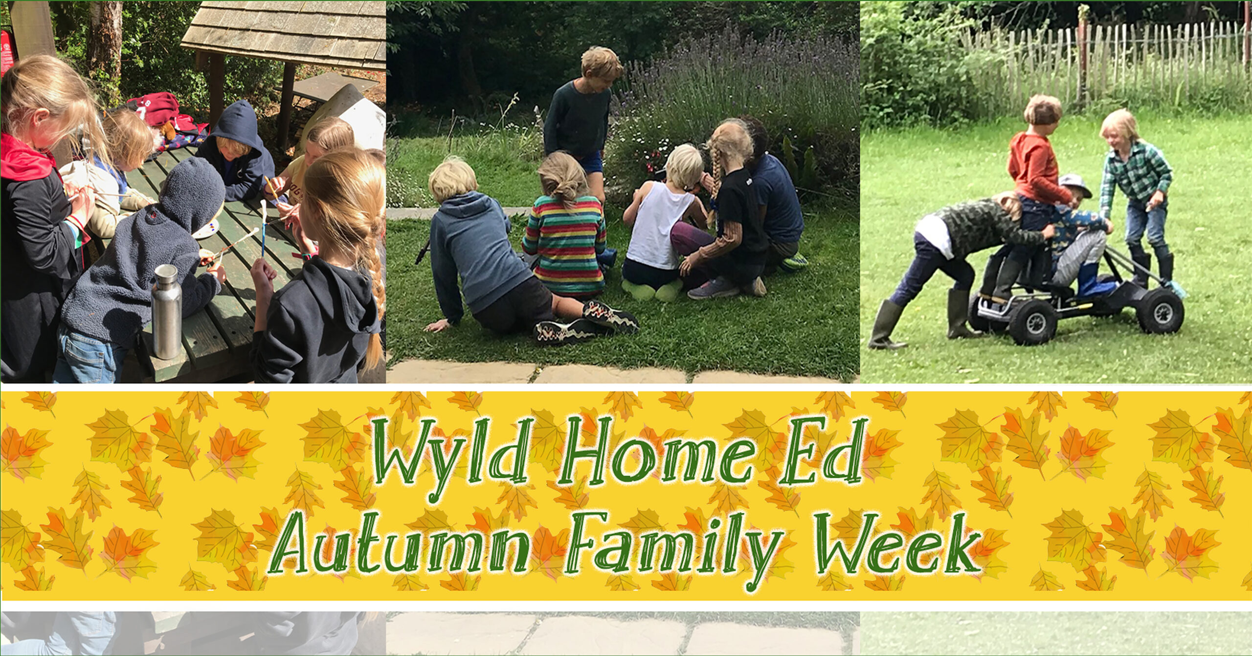 home ed monkton pic